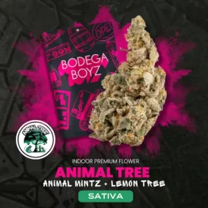 Bodega Boyz Animal Tree #13 | OK