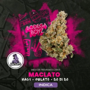 Bodega Boyz Maclato